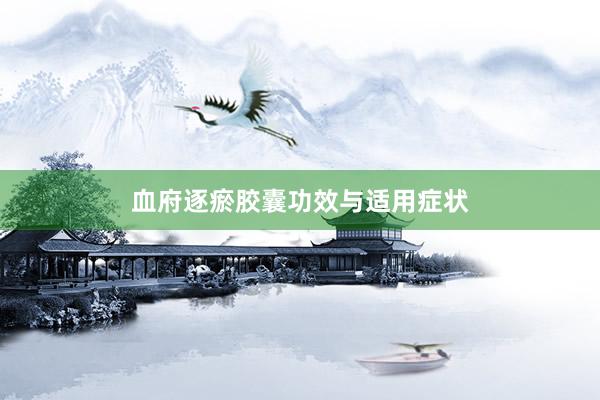 血府逐瘀胶囊功效与适用症状